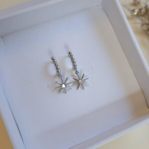Silver stars earrings